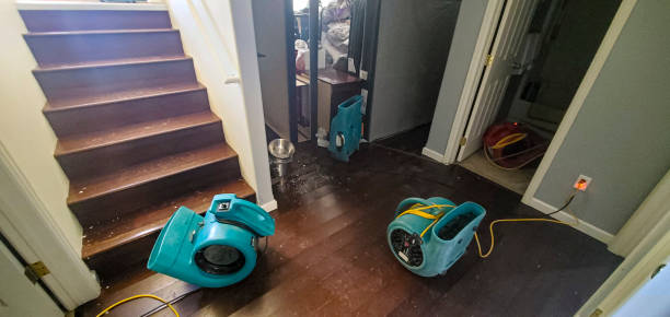 Trusted LA Water damage restoration Experts