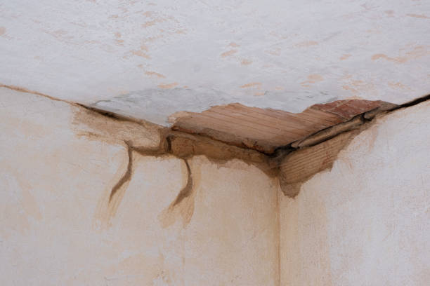 Best Carpet water damage restoration  in Houma, LA