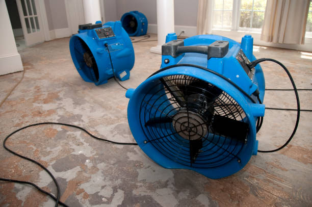 Best Emergency water damage restoration  in Houma, LA