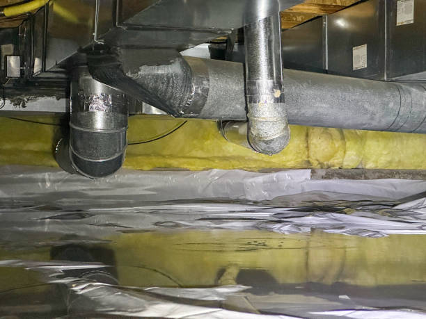 Best Mold removal after water damage  in Houma, LA