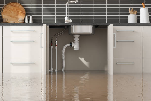 Best Water damage cleanup near me  in Houma, LA