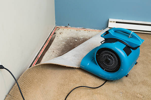 Best 24/7 water damage repair  in Houma, LA